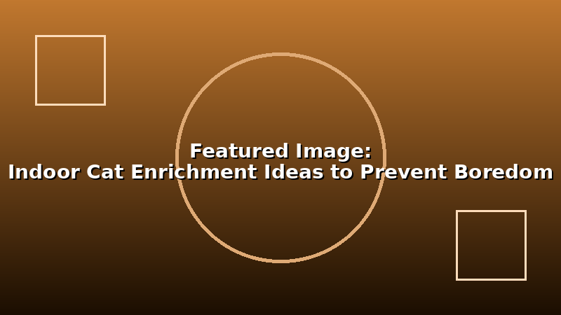 Indoor Cat Enrichment Ideas to Prevent Boredom