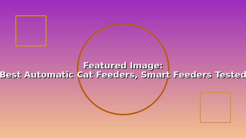 Best Automatic Cat Feeders, Smart Feeders Tested