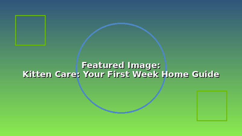 Kitten Care: Your First Week Home Guide