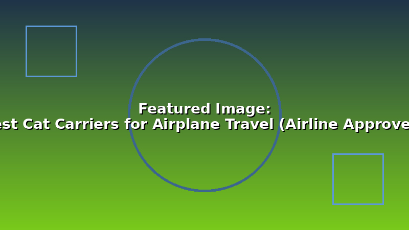 Best Cat Carriers for Airplane Travel (Airline Approved)